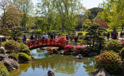 Jardín Japonés de Palermo con numerosos visitantes recorriendo el puente rojo, el estanque y sus jardines de colores vivos.