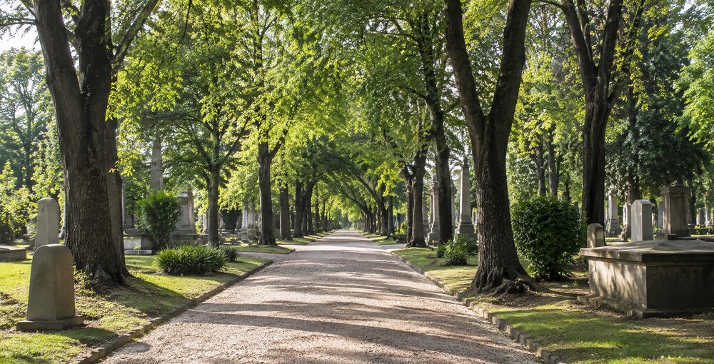 Sendero arbolado rodeado de sepulturas históricas en el Cementerio Británico de Chacarita, donde un proyecto busca autorizar un crematorio.