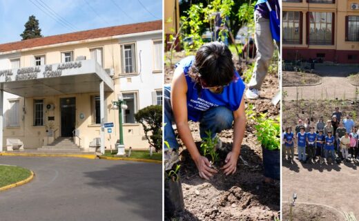 El Hospital Tornú incorporó un microbosque nativo con más de 750 plantas; la composición muestra el frente del hospital, la jornada de plantación y los nuevos canteros.