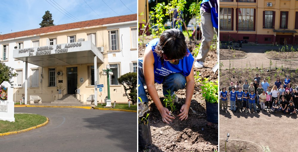 El Hospital Tornú incorporó un microbosque nativo con más de 750 plantas; la composición muestra el frente del hospital, la jornada de plantación y los nuevos canteros.