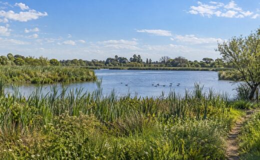 Reserva Ecológica Lago Lugano, espacio protegido del sur porteño vinculado con la convocatoria a una audiencia pública ambiental.