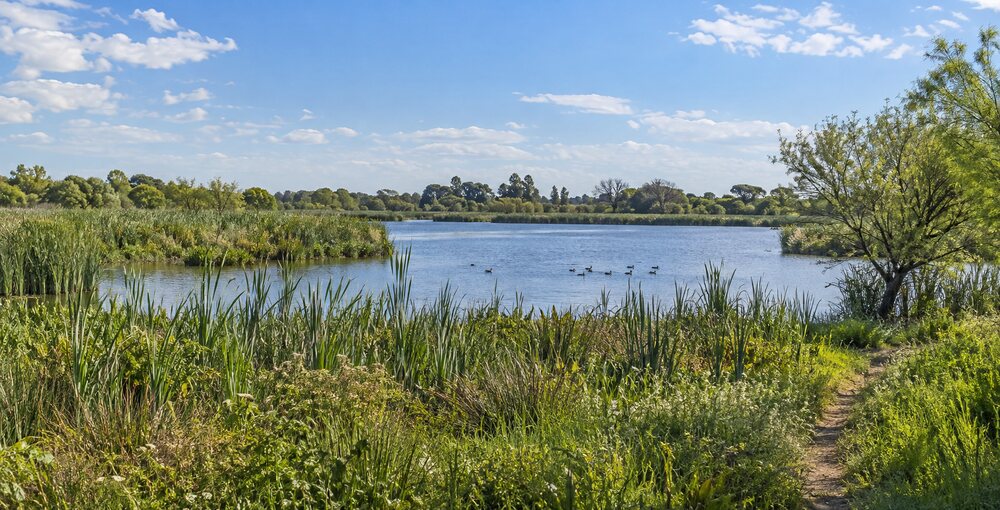 Reserva Ecológica Lago Lugano, espacio protegido del sur porteño vinculado con la convocatoria a una audiencia pública ambiental.